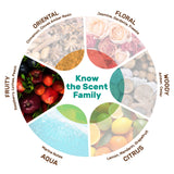 Amber Rush Eau De Parfum