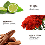 Top, heart, and bottom notes of Vetiver Deodorant featuring ingredients like lime, carnation, and sandalwood.