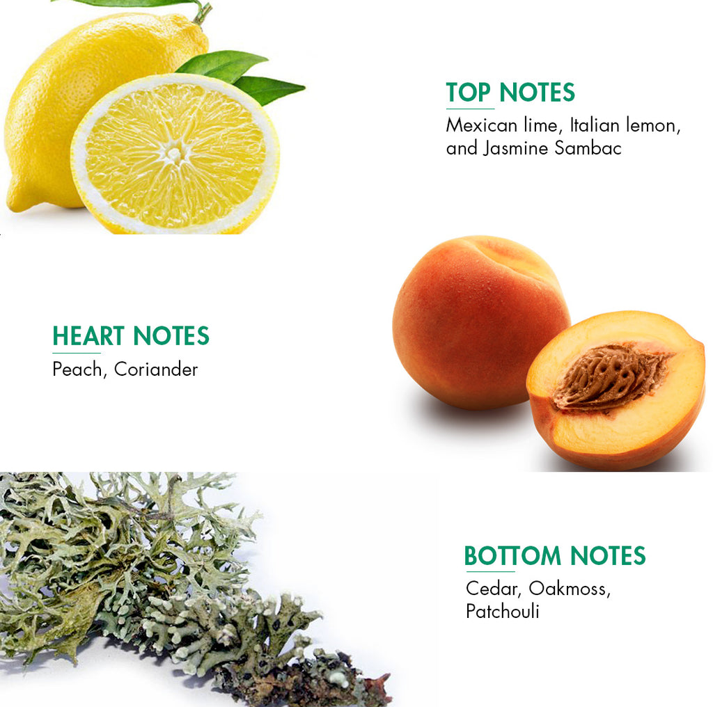 Island Water Deodorant fragrance notes including Mexican lime, peach, and patchouli.