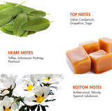 Top notes of Indian Cardamom, Grapefruit, and Sage for Smoking Gun Deodorant body spray.