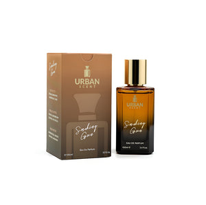 Urban Scent Smoking Gun Eau De Parfum 100ml bottle with box packaging showcasing its bold and sophisticated design.